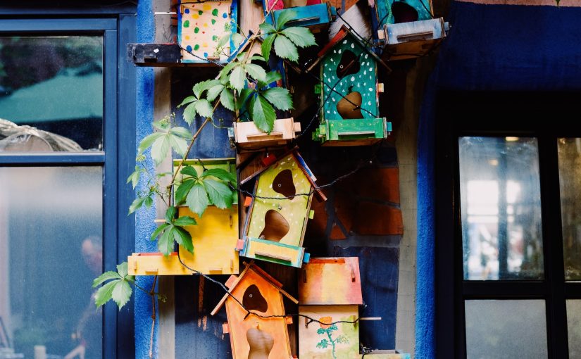 Hvorfor du bør sætte et fuglehus op i din have